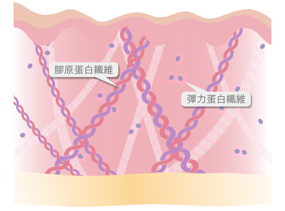 雙膠原妊娠紋修復槍